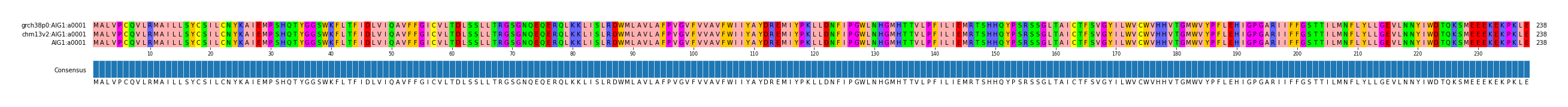 Multiple Alignments (by translate haplotype similarity)
