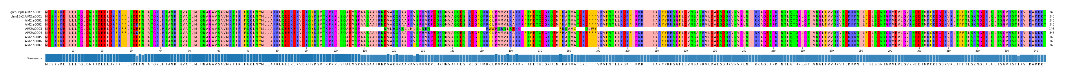 Multiple Alignments (by translate haplotype frequency)