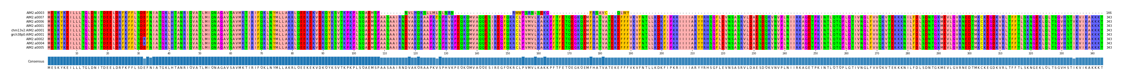 Multiple Alignments (by translate haplotype similarity)