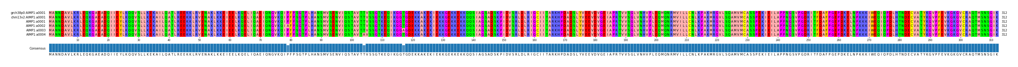 Multiple Alignments (by translate haplotype frequency)