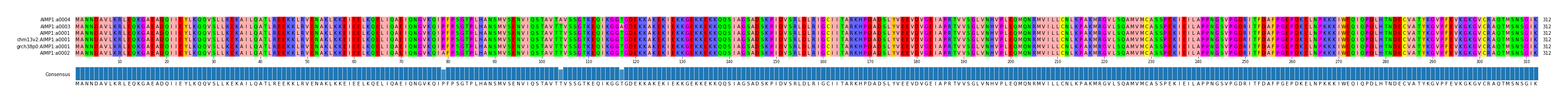 Multiple Alignments (by translate haplotype similarity)