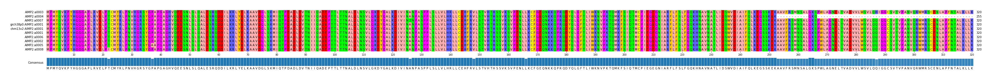 Multiple Alignments (by translate haplotype similarity)