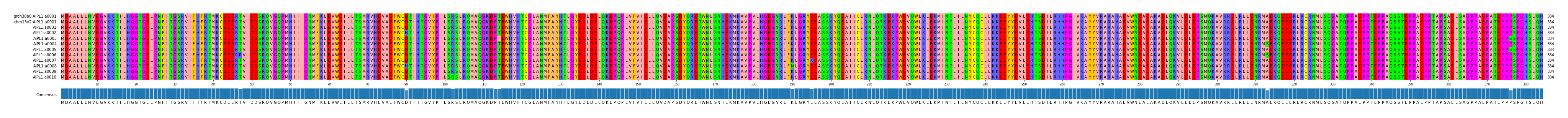 Multiple Alignments (by translate haplotype frequency)