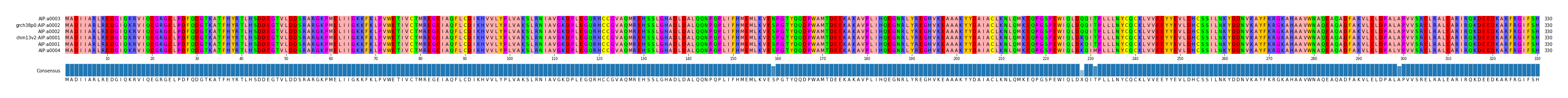 Multiple Alignments (by translate haplotype similarity)