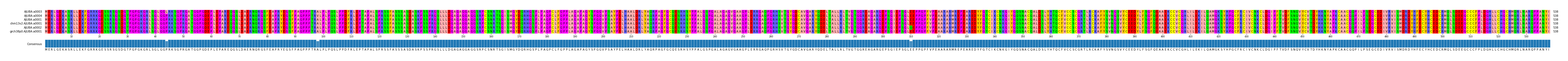 Multiple Alignments (by translate haplotype similarity)