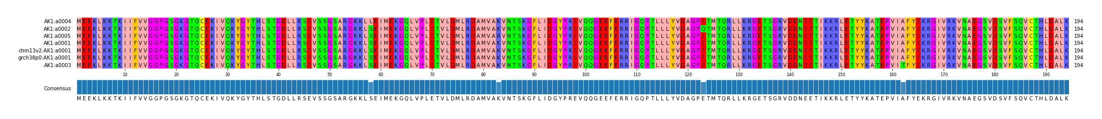 Multiple Alignments (by translate haplotype similarity)