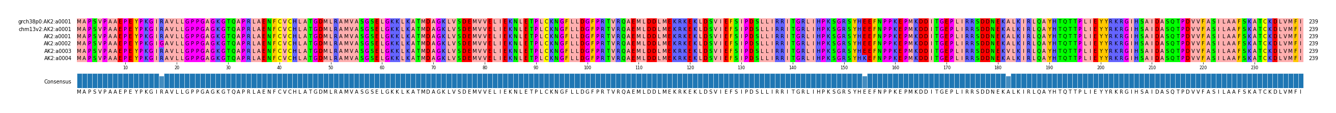 Multiple Alignments (by translate haplotype frequency)