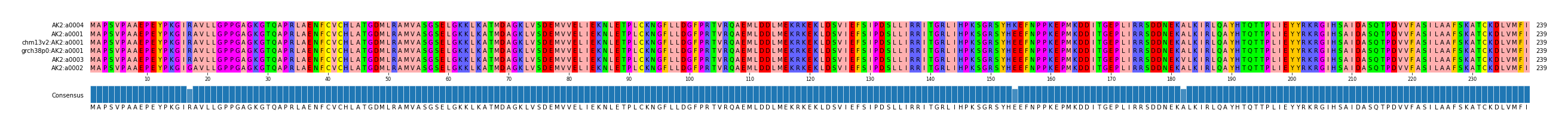 Multiple Alignments (by translate haplotype similarity)