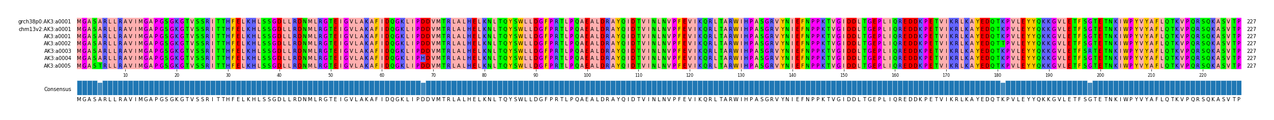 Multiple Alignments (by translate haplotype frequency)