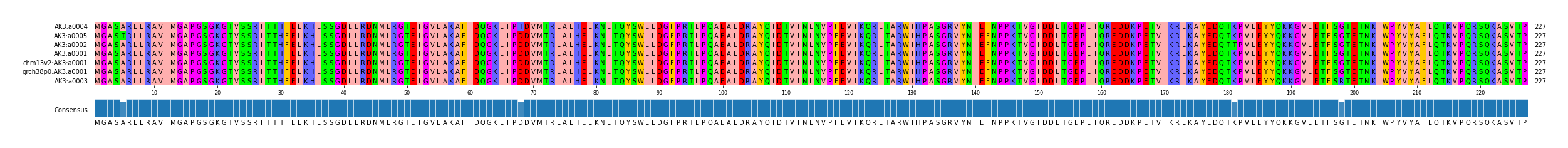 Multiple Alignments (by translate haplotype similarity)