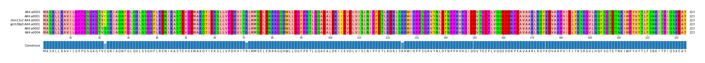 Multiple Alignments (by translate haplotype similarity)