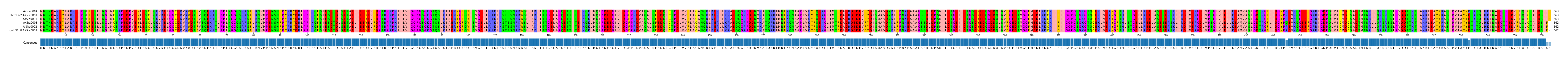 Multiple Alignments (by translate haplotype similarity)