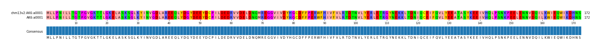 Multiple Alignments (by translate haplotype similarity)