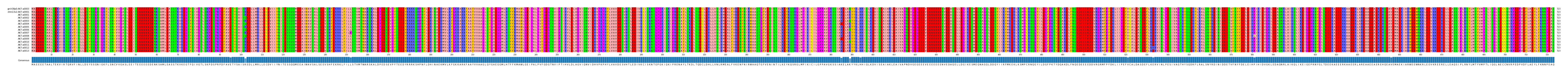 Multiple Alignments (by translate haplotype frequency)