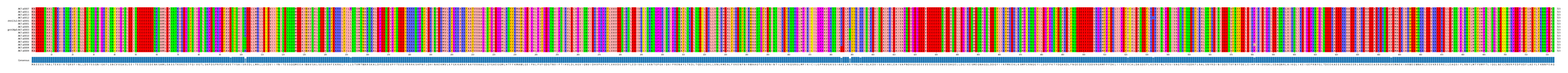 Multiple Alignments (by translate haplotype similarity)