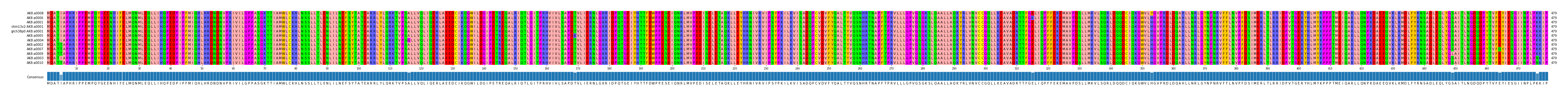 Multiple Alignments (by translate haplotype similarity)