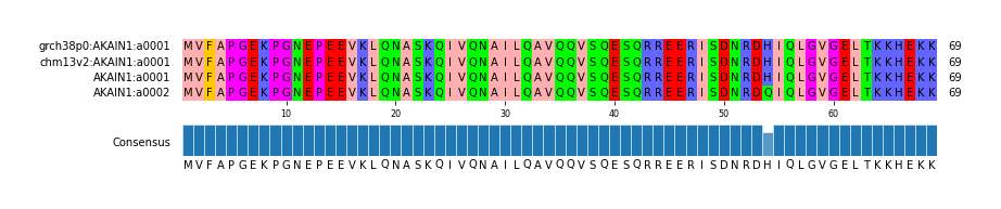 Multiple Alignments (by translate haplotype similarity)