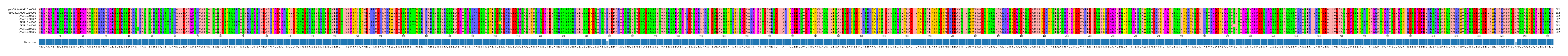 Multiple Alignments (by translate haplotype frequency)