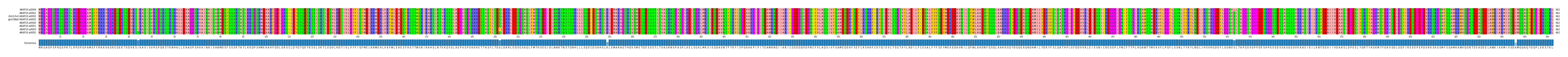 Multiple Alignments (by translate haplotype similarity)