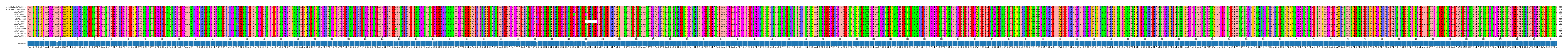 Multiple Alignments (by translate haplotype frequency)