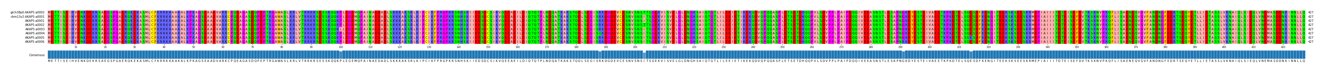 Multiple Alignments (by translate haplotype frequency)