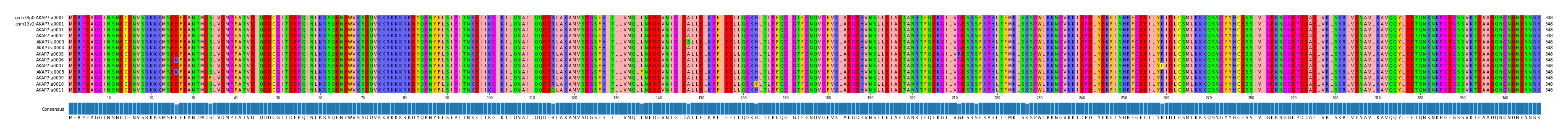 Multiple Alignments (by translate haplotype frequency)
