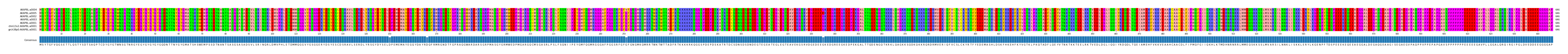Multiple Alignments (by translate haplotype similarity)