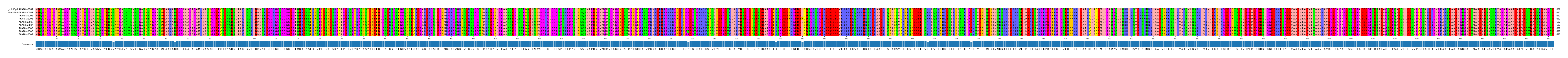 Multiple Alignments (by translate haplotype frequency)