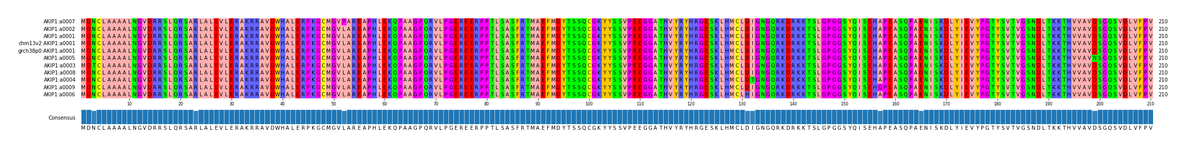 Multiple Alignments (by translate haplotype similarity)
