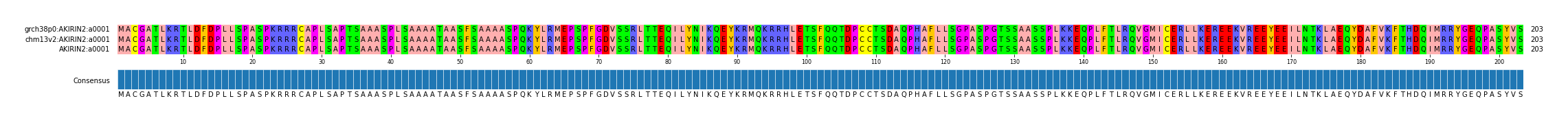 Multiple Alignments (by translate haplotype similarity)