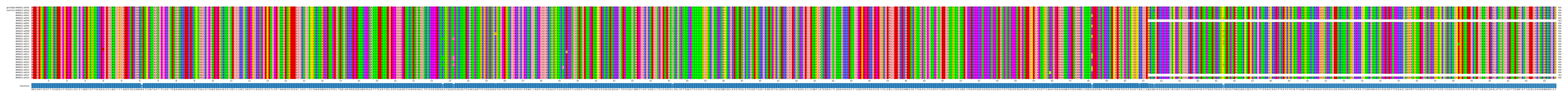 Multiple Alignments (by translate haplotype frequency)