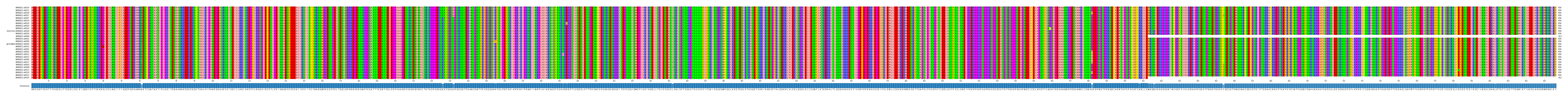 Multiple Alignments (by translate haplotype similarity)