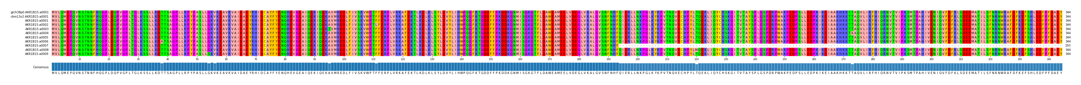 Multiple Alignments (by translate haplotype frequency)