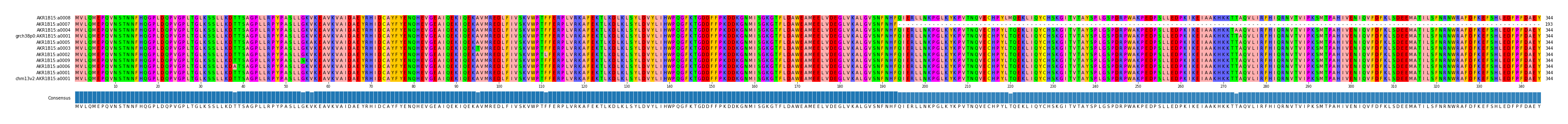 Multiple Alignments (by translate haplotype similarity)