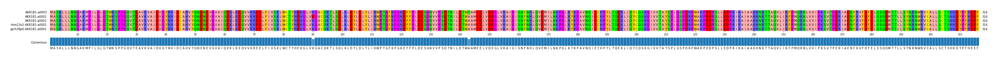 Multiple Alignments (by translate haplotype similarity)