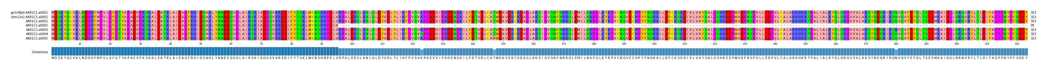 Multiple Alignments (by translate haplotype frequency)