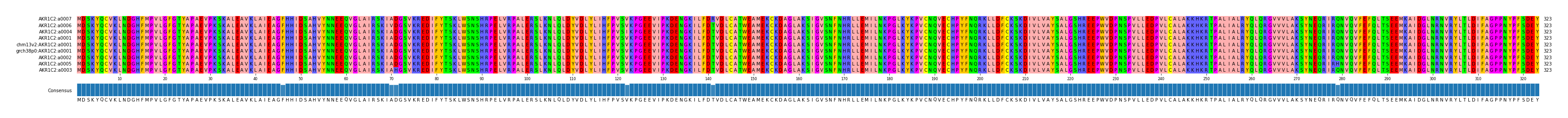 Multiple Alignments (by translate haplotype similarity)