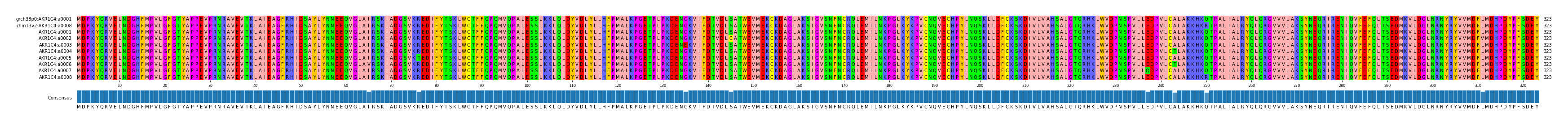 Multiple Alignments (by translate haplotype frequency)