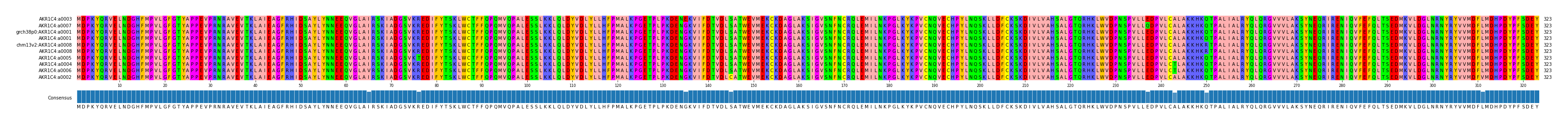 Multiple Alignments (by translate haplotype similarity)