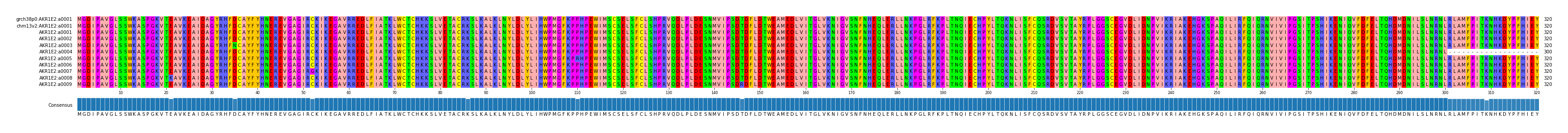 Multiple Alignments (by translate haplotype frequency)