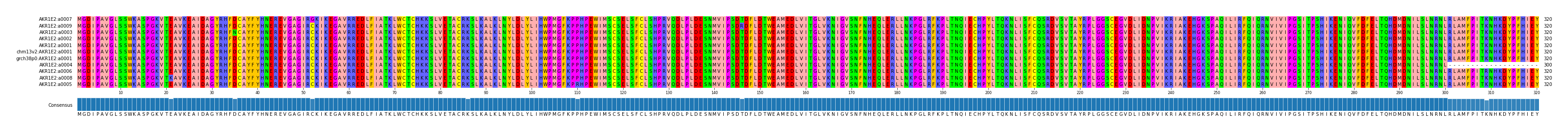 Multiple Alignments (by translate haplotype similarity)