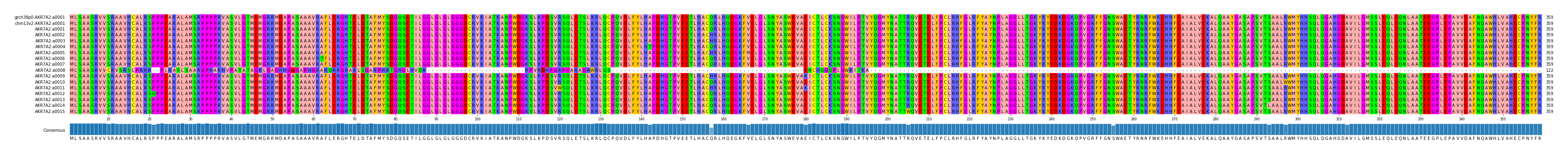 Multiple Alignments (by translate haplotype frequency)