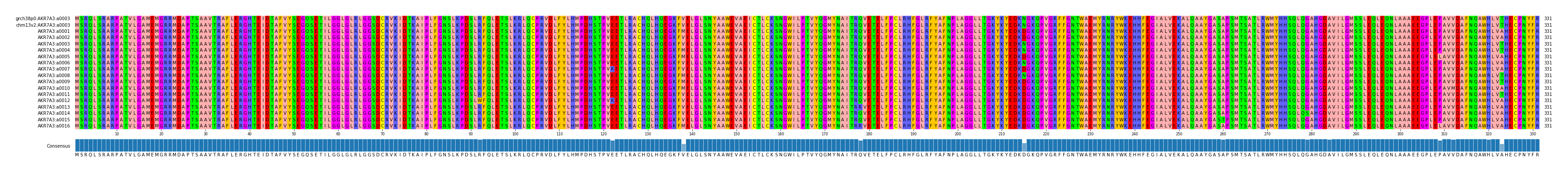 Multiple Alignments (by translate haplotype frequency)