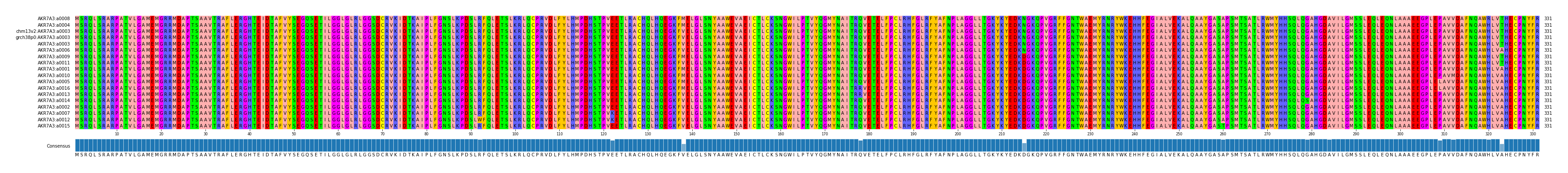 Multiple Alignments (by translate haplotype similarity)