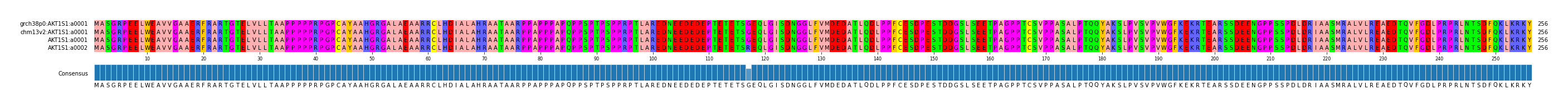Multiple Alignments (by translate haplotype similarity)