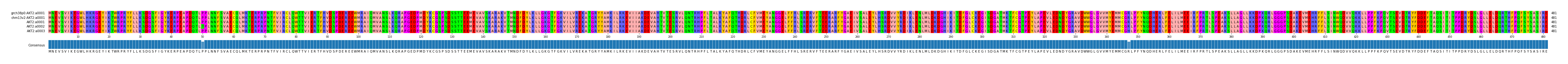 Multiple Alignments (by translate haplotype frequency)