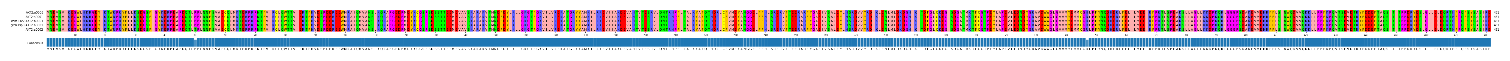 Multiple Alignments (by translate haplotype similarity)