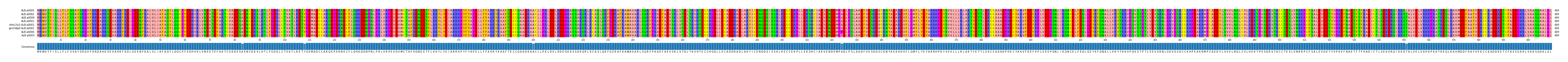 Multiple Alignments (by translate haplotype similarity)