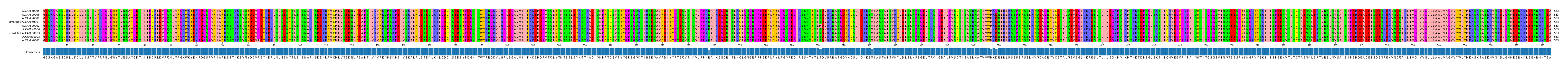 Multiple Alignments (by translate haplotype similarity)