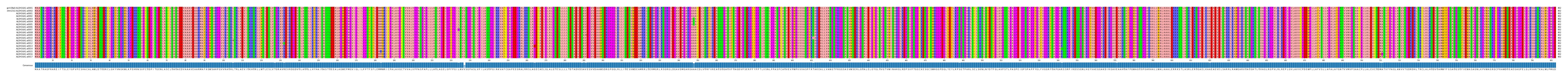 Multiple Alignments (by translate haplotype frequency)
